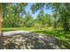 An empty back patio, looking out on the trees and foliage that backs up to the property at 2513 Martucci Rd, Seffner, FL 33584