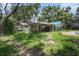Backyard view with a pool, grass, and a house at 36251 Horseshoe Dr, Zephyrhills, FL 33541