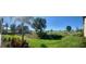 Expansive backyard with lush green grass, palm trees, and beautiful landscaping at 5720 Palmer Cir # 102, Bradenton, FL 34211