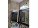 This bathroom vanity offers storage, counter space, and updated lighting in a well decorated space at 8718 Lindenhurst Pl, Tampa, FL 33634