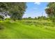 View of a well maintained grass backyard surrounded by lots of trees and greenery at 1724 Adams S Cir, Largo, FL 33771