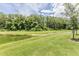 Backyard featuring a peaceful pond surrounded by lush greenery and mature trees at 17482 Nectar Flume Dr, Land O Lakes, FL 34638