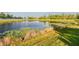 A scenic pond with lily pads and waterfront grasses creates a tranquil backyard environment at 19656 Long Lake Ranch Blvd, Lutz, FL 33558
