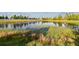 View of the tranquil pond surrounded by lush greenery and natural vegetation, enhancing the backyard's serenity at 19656 Long Lake Ranch Blvd, Lutz, FL 33558