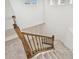 Carpeted staircase with decorative dark metal spindles and wooden railing at 19656 Long Lake Ranch Blvd, Lutz, FL 33558