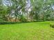 Lush green backyard featuring a well-maintained lawn and bordered by mature trees and a wooden fence at 2409 Heather Manor Ln, Lutz, FL 33549