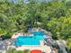 Aerial view of a pool featuring turquoise water, nestled among a lush green canopy of trees at 3062 Eastland Blvd # 311, Clearwater, FL 33761