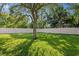 Expansive backyard featuring lush green grass and a privacy fence, offering a serene outdoor space at 4717 W Anita Blvd, Tampa, FL 33611