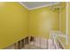 Spacious closet with wire shelving and yellow walls, ready for renovation at 4717 W Anita Blvd, Tampa, FL 33611