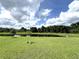 Expansive backyard featuring a pond, lush green grass, and mature trees at 11309 Villas On The Green Dr, Riverview, FL 33579