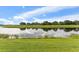 Beautiful green space with a pond reflecting the blue sky and white clouds at 13334 Palmera Vista Dr, Riverview, FL 33579