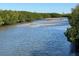 Picturesque view of a calm waterway surrounded by lush green mangrove trees at 1801 52Nd S St, Gulfport, FL 33707