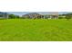 Expansive green backyard with a view of the screened-in lanai at 1811 Milford Cir, Sun City Center, FL 33573