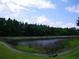 Lush greenery surrounds a serene pond at 27810 Sky Lake Cir, Wesley Chapel, FL 33544