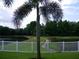 Scenic view of a pond, framed by a white fence and mature palm trees at 27810 Sky Lake Cir, Wesley Chapel, FL 33544