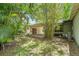 Backyard view showcasing lush greenery, a carport, and a tranquil outdoor setting at 3709 W San Pedro St, Tampa, FL 33629