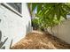 Side yard featuring small trees, rock ground cover and fenced walkway at 909 Silver Palm Way, Apollo Beach, FL 33572