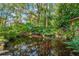 A koi pond with trees reflected in the water with foliage and plants surrounding it at 1042 S Sterling Ave, Tampa, FL 33629