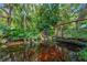 A koi pond featuring a small waterfall with thriving foliage and plants surrounding it at 1042 S Sterling Ave, Tampa, FL 33629