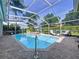Large screened-in pool with a hot tub, lounge chairs, and a barbecue, surrounded by lush greenery at 1358 Forestedge Blvd, Oldsmar, FL 34677