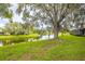 A large backyard with mature trees provides a tranquil scene by the water at 200 Gretchen Ct, Oldsmar, FL 34677