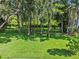 Expansive backyard with mature trees offers plenty of space and privacy at 210 Lake Hobbs Rd, Lutz, FL 33548
