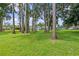 The large, grassy backyard offers a private retreat at 210 Lake Hobbs Rd, Lutz, FL 33548