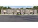 Charming townhome featuring a modern facade, well-manicured landscaping, and private garage at 31294 Paper Birch St, Wesley Chapel, FL 33545