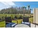 Scenic backyard featuring lush greenery and landscaping, providing a serene outdoor space with a table and chairs at 34196 Polacca Ln, Wesley Chapel, FL 33543