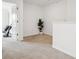 A bright landing with carpet flooring features white trim and a plant adding a touch of nature at 34196 Polacca Ln, Wesley Chapel, FL 33543