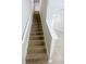 Carpeted staircase leading to the home's upper level at 3926 Cat Mint St, Tampa, FL 33619