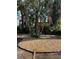 Backyard featuring landscaped area of small stones surrounded by tropical foliage and mature trees at 641 Geneva Pl, Tampa, FL 33606