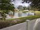 Pond view featuring a serene water feature and a landscaped backdrop of neighboring houses at 12216 Southbridge Ter, Hudson, FL 34669