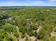 An expansive aerial view of a tree-filled community and the properties within it at 17207 Bosley Dr, Spring Hill, FL 34610