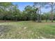 Picture of backyard with several tall pine trees at 17207 Bosley Dr, Spring Hill, FL 34610