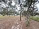 Wide backyard landscape featuring mature trees offering ample shade over the lawn at 17926 Calkins Ct, Spring Hill, FL 34610