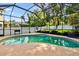 Inviting screened-in pool with mature landscaping provides a serene outdoor living space at 2009 Raven Manor Dr, Dover, FL 33527