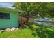 Waterfront backyard featuring a large tree and lush lawn, providing a serene outdoor retreat at 33 Cypress Dr, Palm Harbor, FL 34684