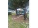 Backyard seating area with a picnic table beneath a shady tree and extra storage on the back of a shed at 33 Cypress Dr, Palm Harbor, FL 34684