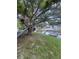 Lush backyard featuring a charming treehouse, perfect for outdoor adventures by the water at 33 Cypress Dr, Palm Harbor, FL 34684