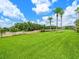 Expansive backyard with lush green lawn and mature palm trees providing a serene and picturesque setting at 4521 Cheval Blvd, Lutz, FL 33558