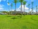 Large backyard featuring a well-manicured lawn and mature landscaping, ideal for outdoor activities and entertaining at 4521 Cheval Blvd, Lutz, FL 33558