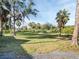 Large backyard with palm trees creating a serene outdoor space at 4915 South Rd, New Port Richey, FL 34652