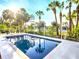 Backyard pool surrounded by palm trees, perfect for relaxing and soaking up the sun at 4915 South Rd, New Port Richey, FL 34652