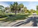 Neighborhood road with palm trees lining the fences of green homes and lots at 4915 South Rd, New Port Richey, FL 34652