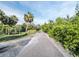 Scenic view of the road lined with lush greenery and tropical palm trees, perfect for leisurely strolls at 4915 South Rd, New Port Richey, FL 34652