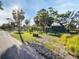 Lush green yard featuring swaying palm trees, with the sun shining on the property at 4915 South Rd, New Port Richey, FL 34652