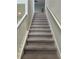 Carpeted staircase with white railing leading to the upper level of the home at 1596 Ludington Ave, Wesley Chapel, FL 33543