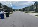 Street view of home with trashcans in foreground, manicured lawns and palm trees at 1596 Ludington Ave, Wesley Chapel, FL 33543