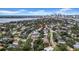 Aerial view showing neighborhood, mature trees, and skyline in the distance at 403 Erie Ave, Tampa, FL 33606